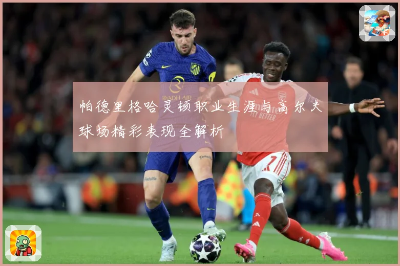 帕德里格哈灵顿职业生涯与高尔夫球场精彩表现全解析