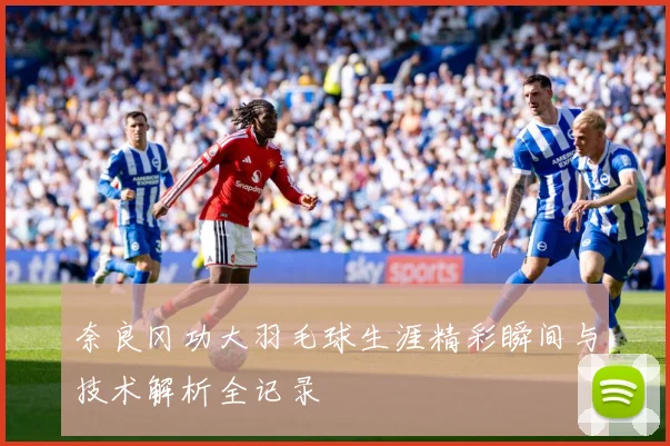 奈良冈功大羽毛球生涯精彩瞬间与技术解析全记录